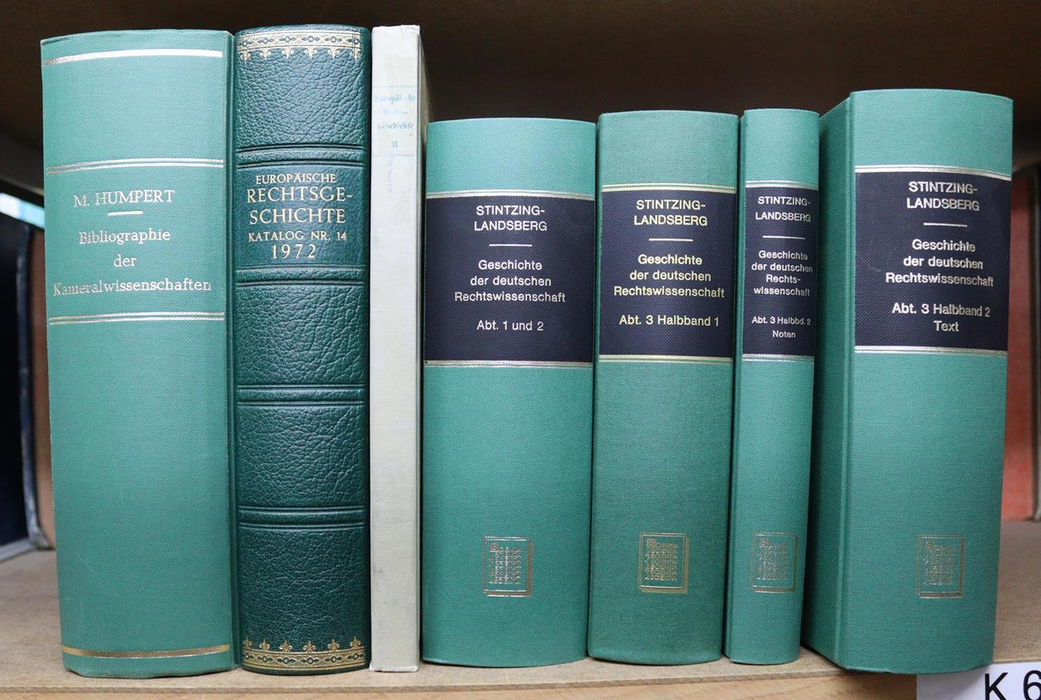 Stintzing,R. u. E.Landsberg. | Bild Nr.2