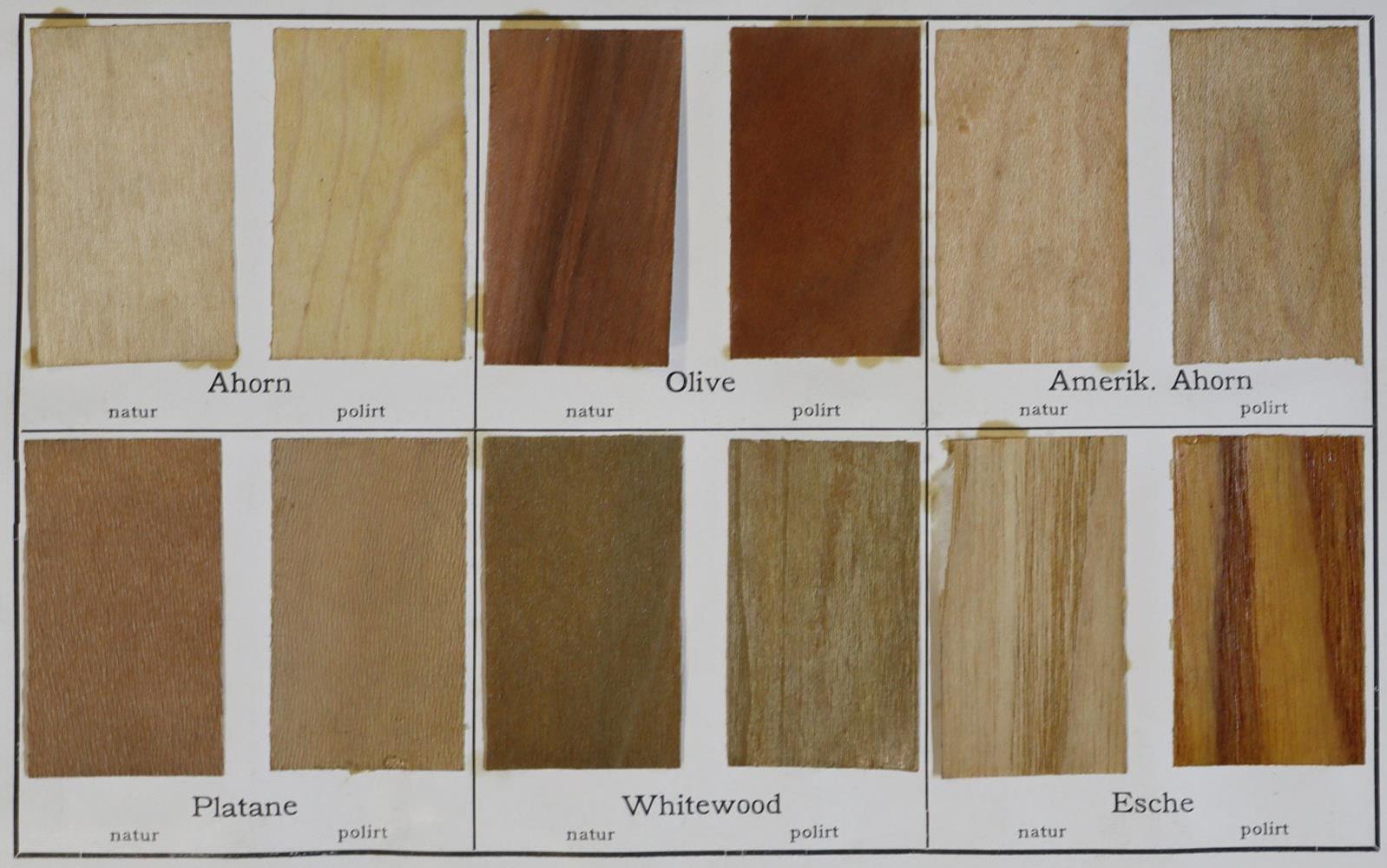 Schubert,M. | Bild Nr.2