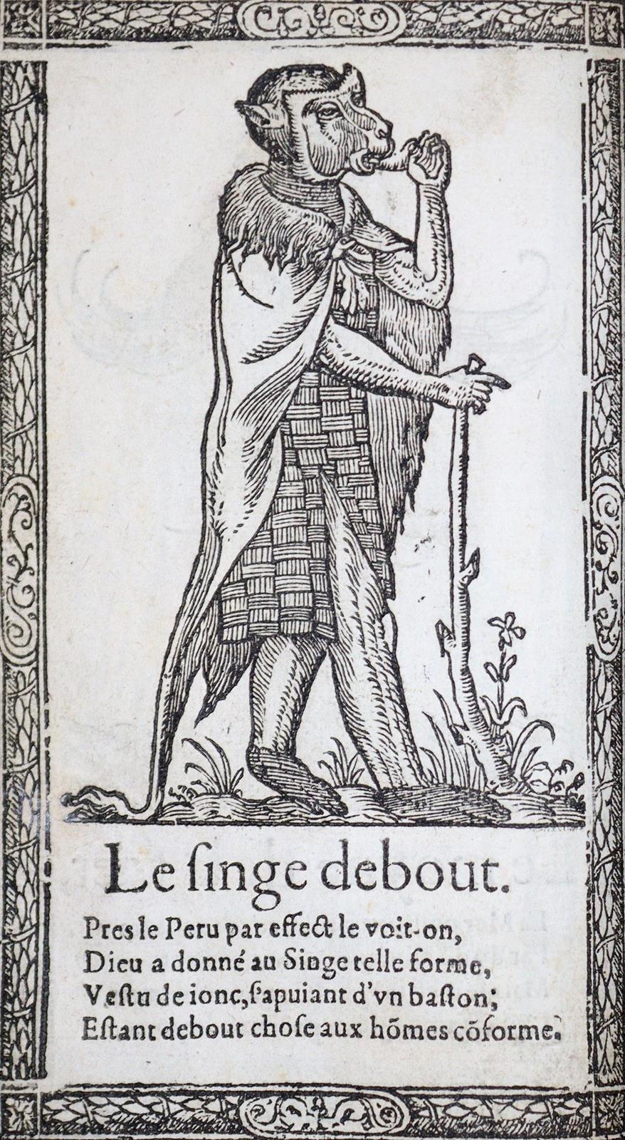 Descerpz,F. | Bild Nr.12