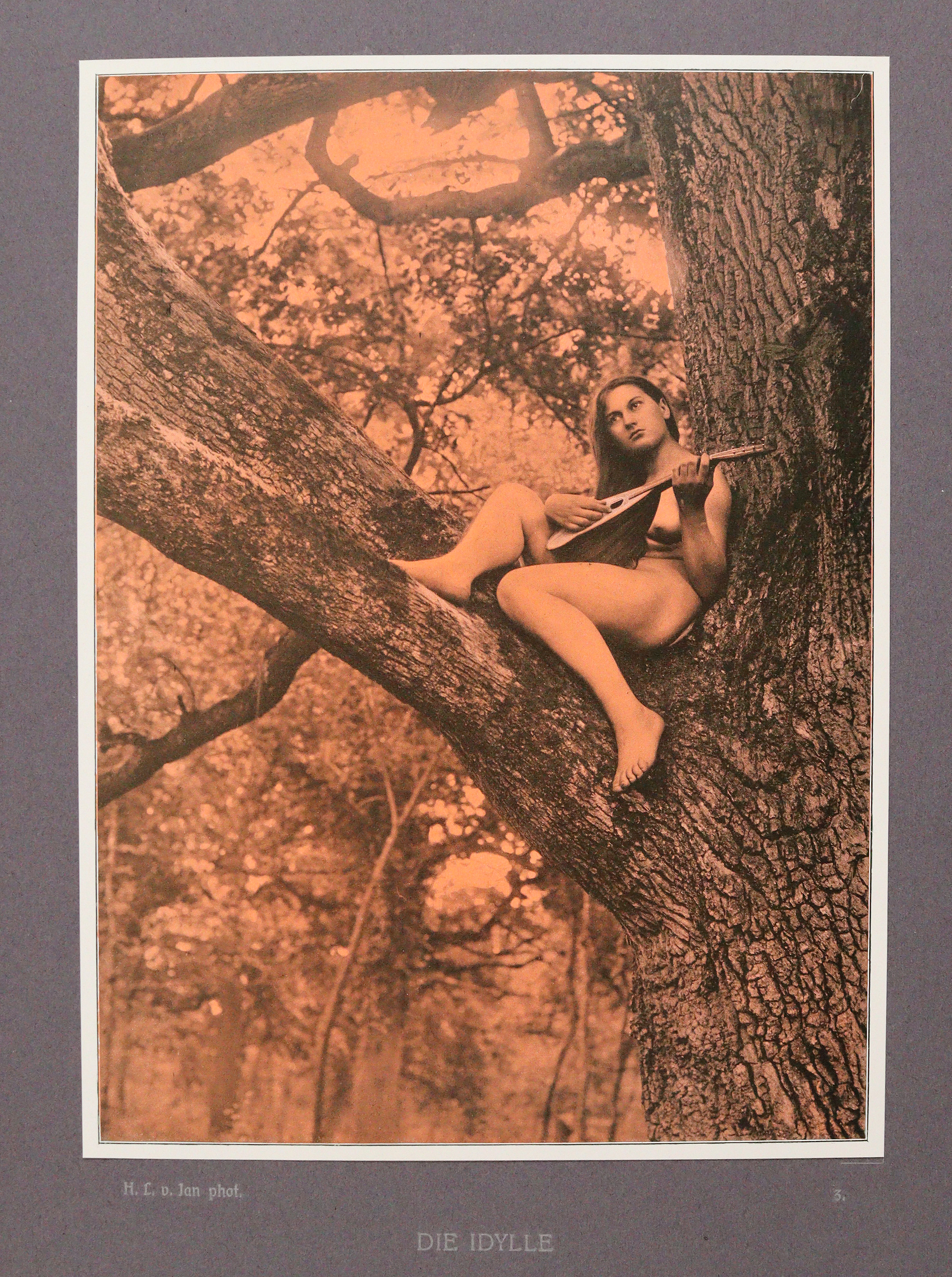 Meyer,B. | Bild Nr.2