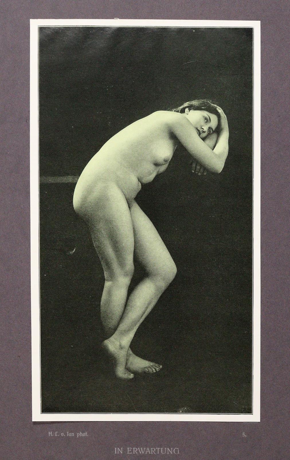 Meyer,B. | Bild Nr.3