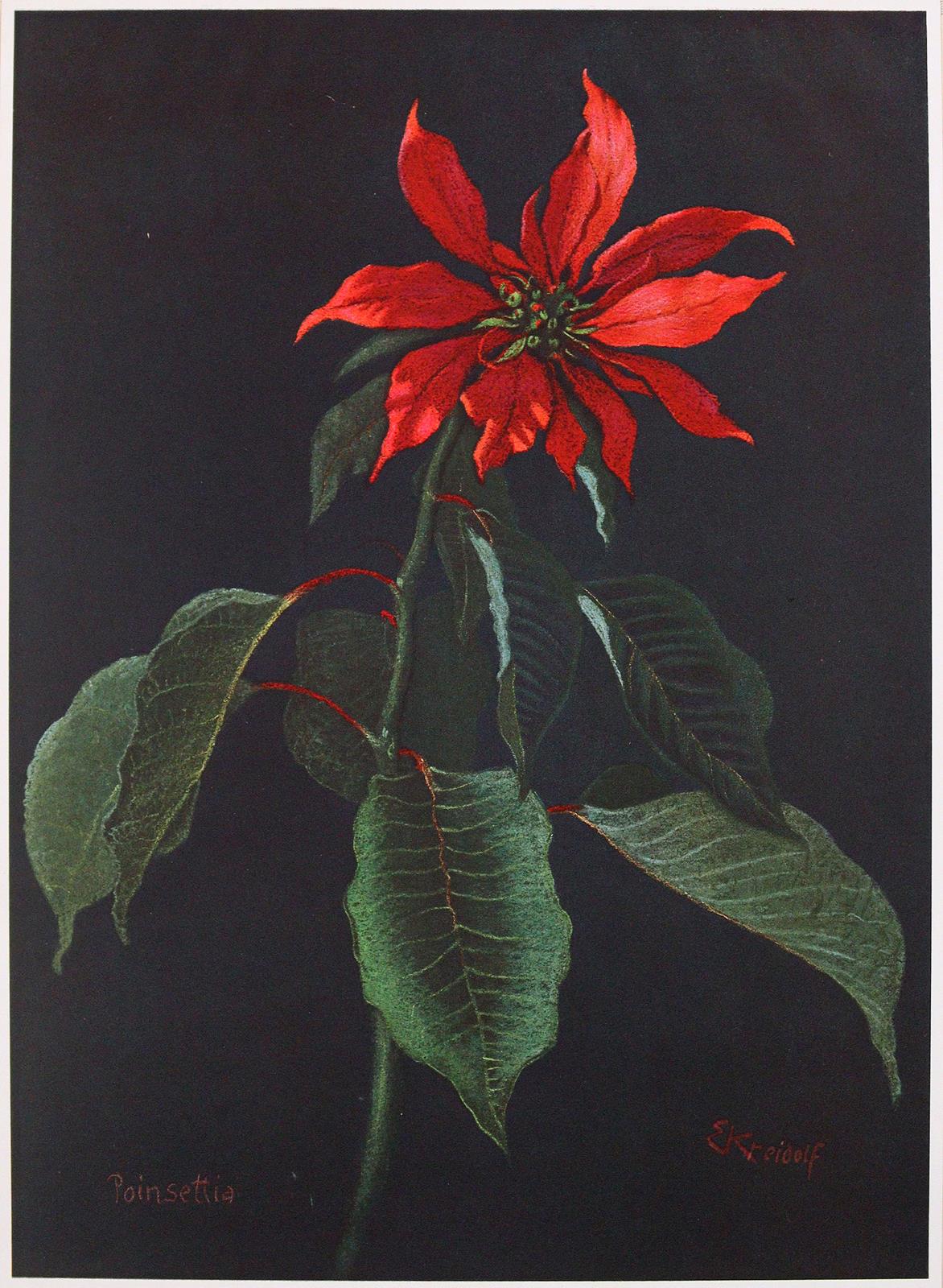 Kreidolf,E. | Bild Nr.4