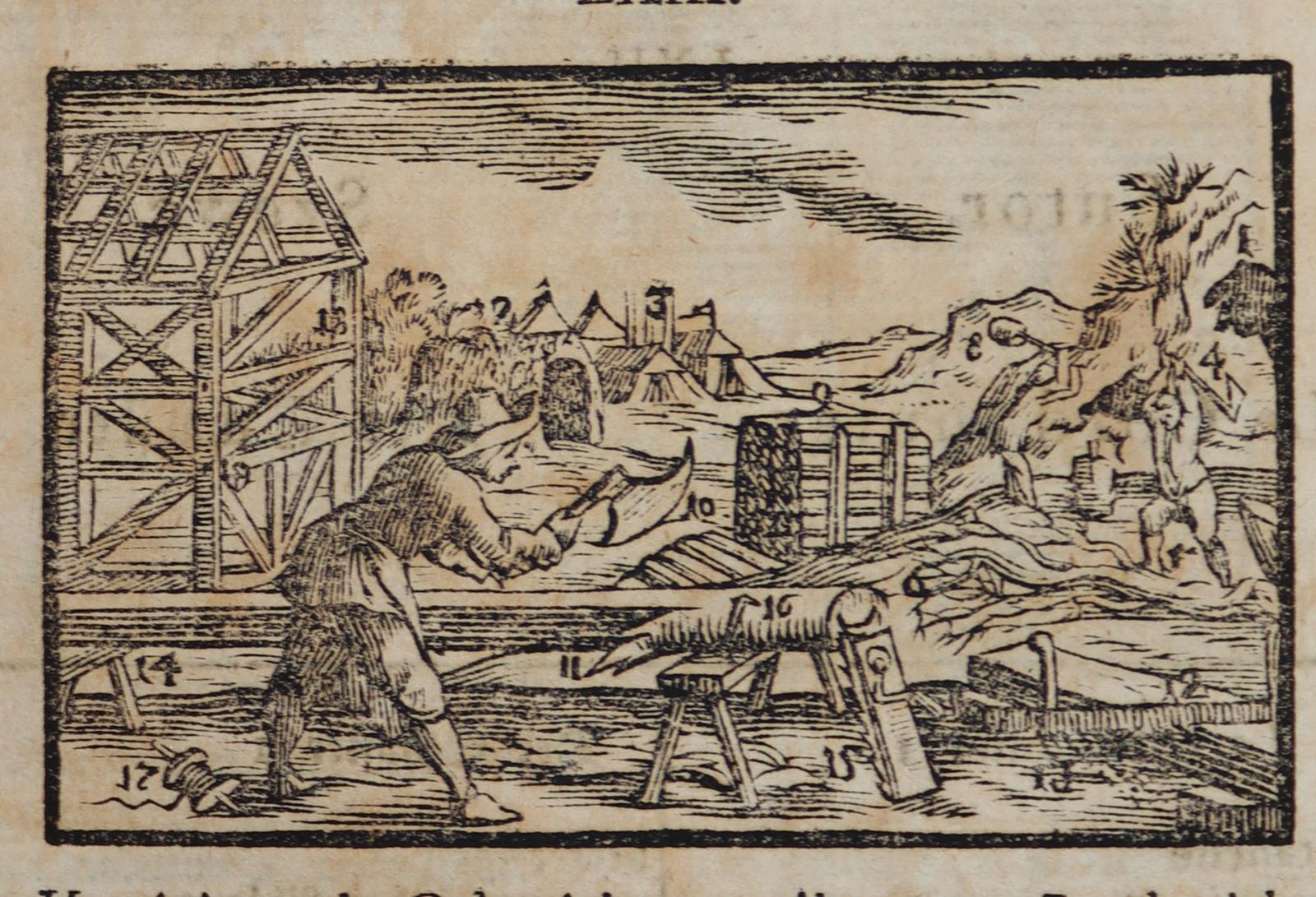 Sammlung | Bild Nr.4