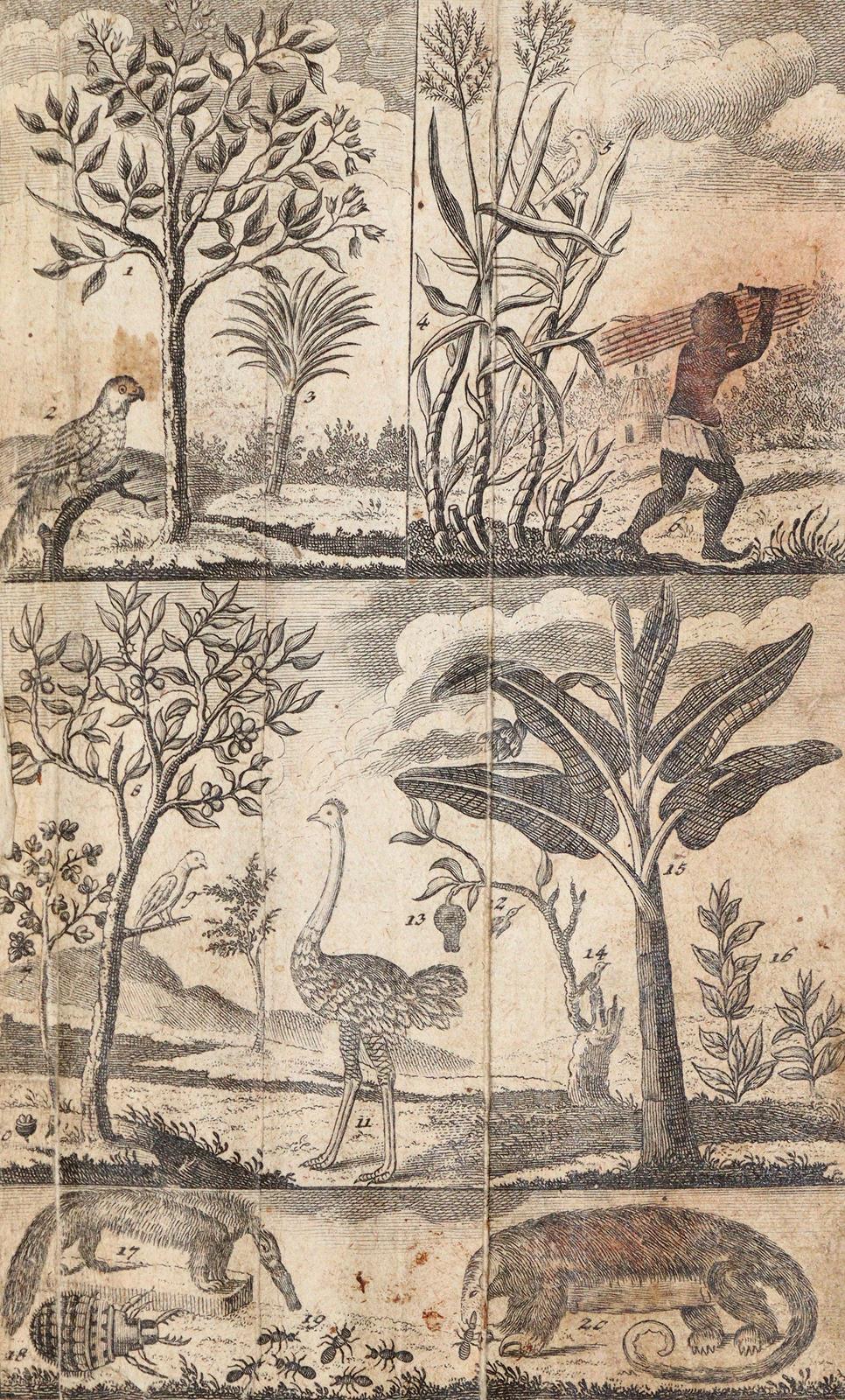 Seiler,G.F. | Bild Nr.2