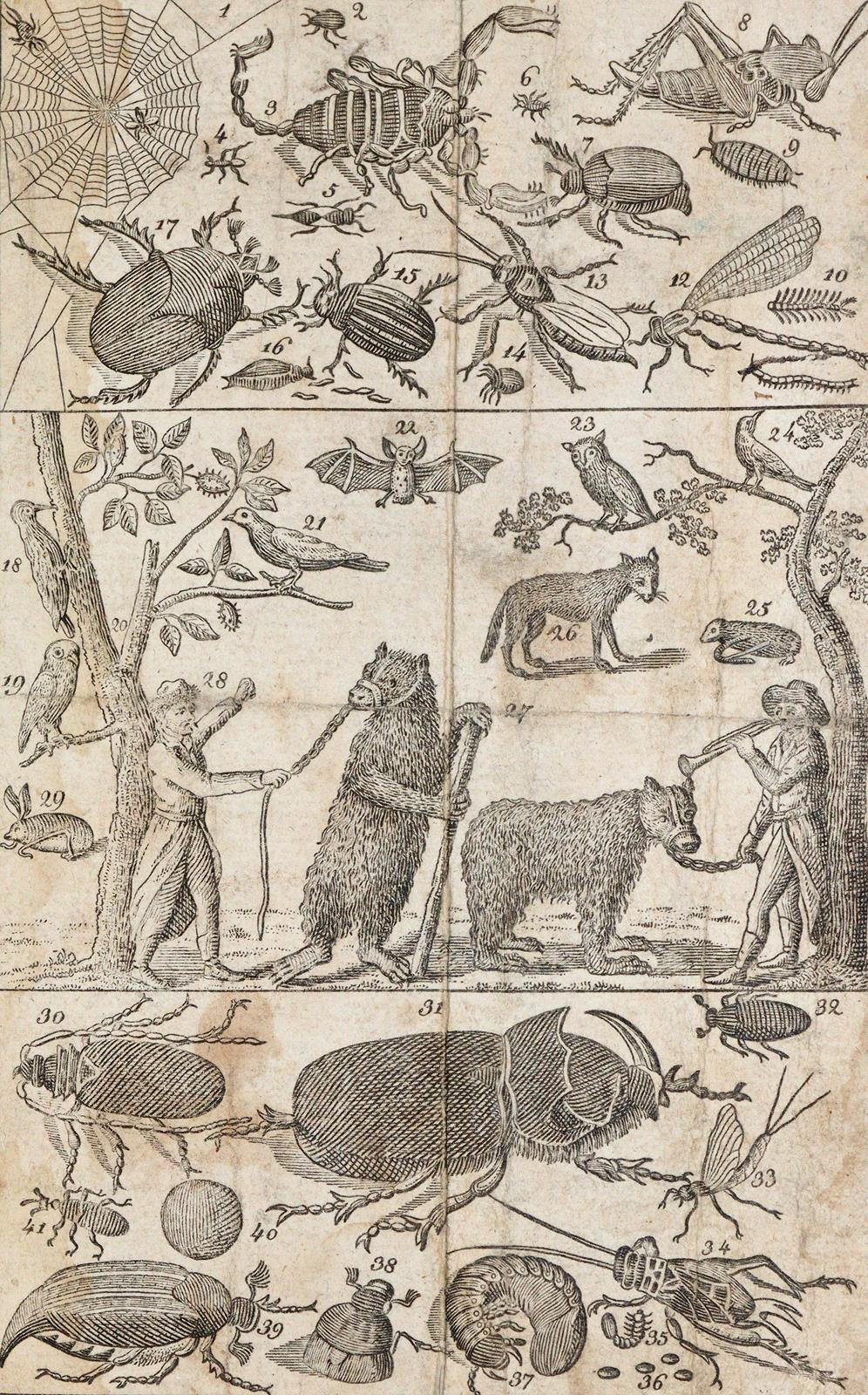 Seiler,G.F. | Bild Nr.3