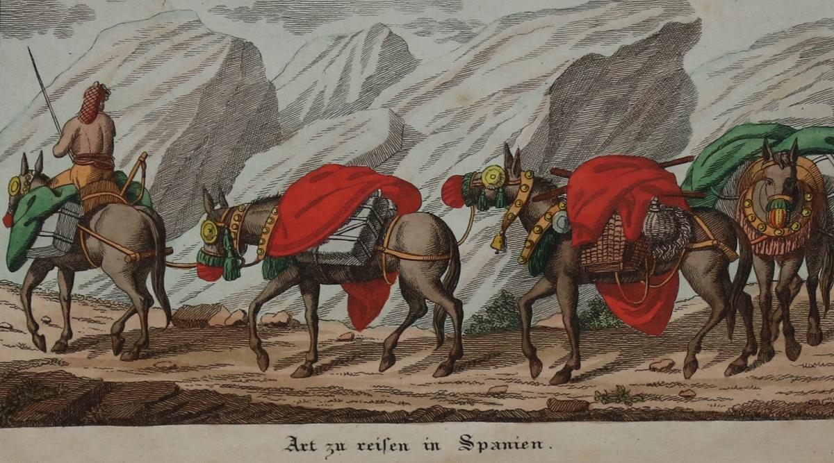 Selchow,F. (d.i. J.H.Meynier). | Bild Nr.1