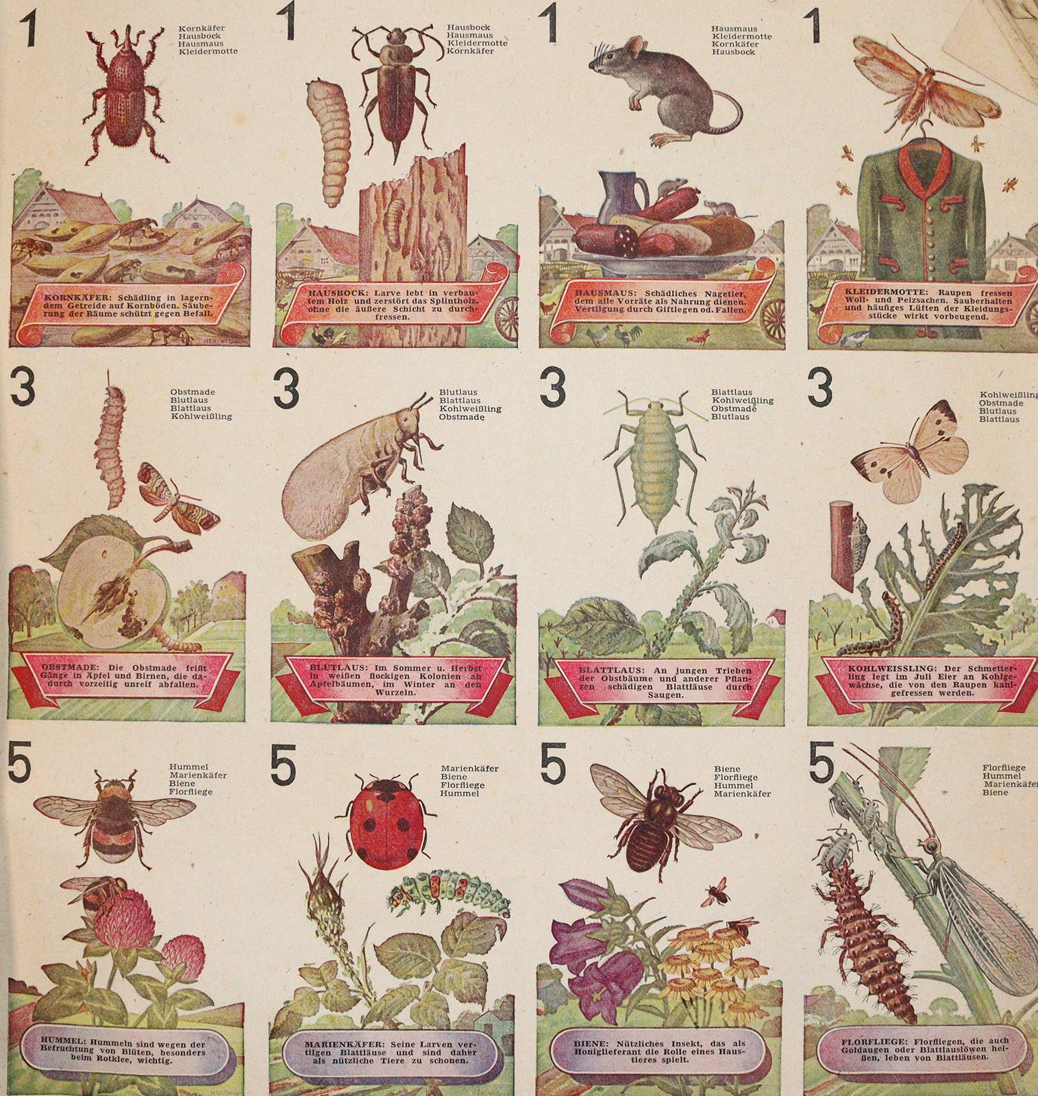 Was nützt - was schadet uns? | Bild Nr.2