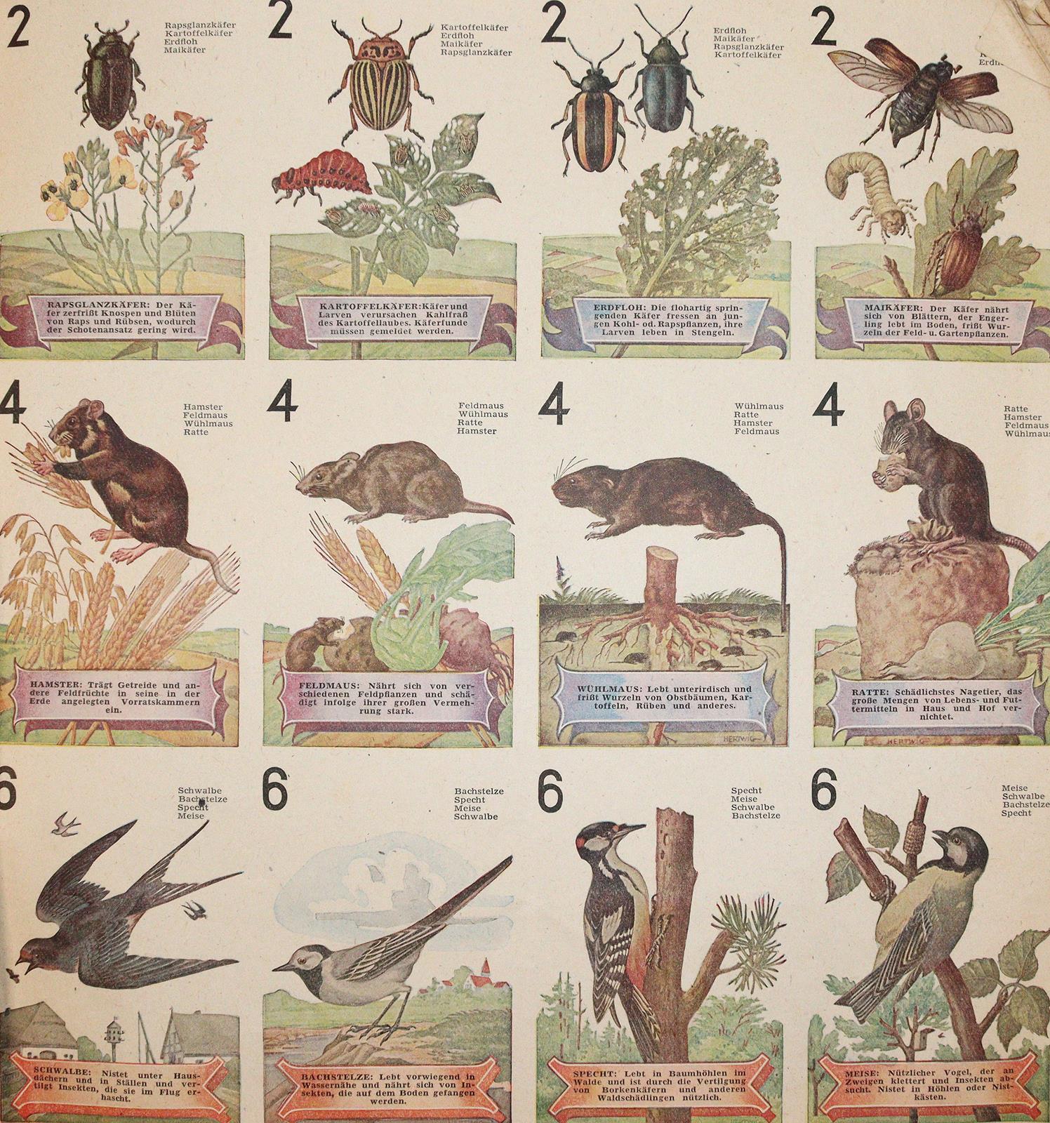 Was nützt - was schadet uns? | Bild Nr.3