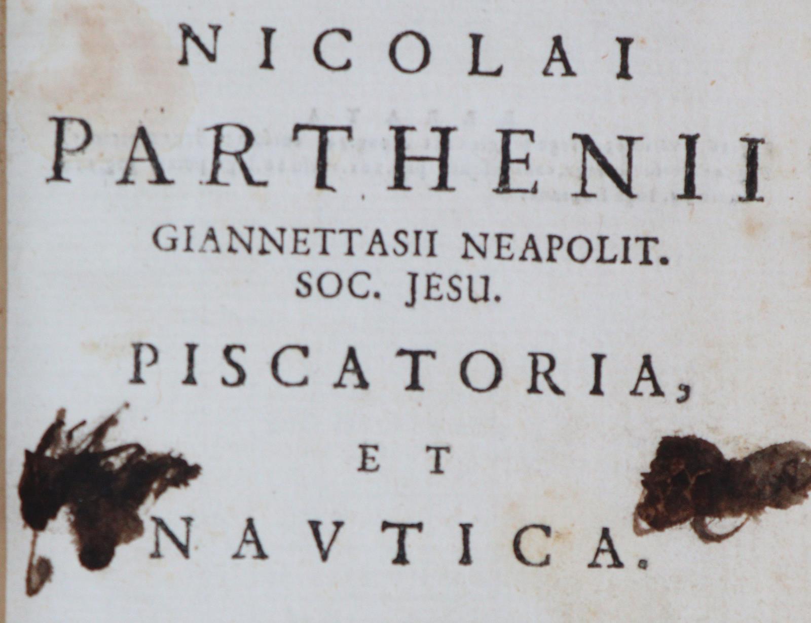 Giannettasio,N.P. | Bild Nr.4