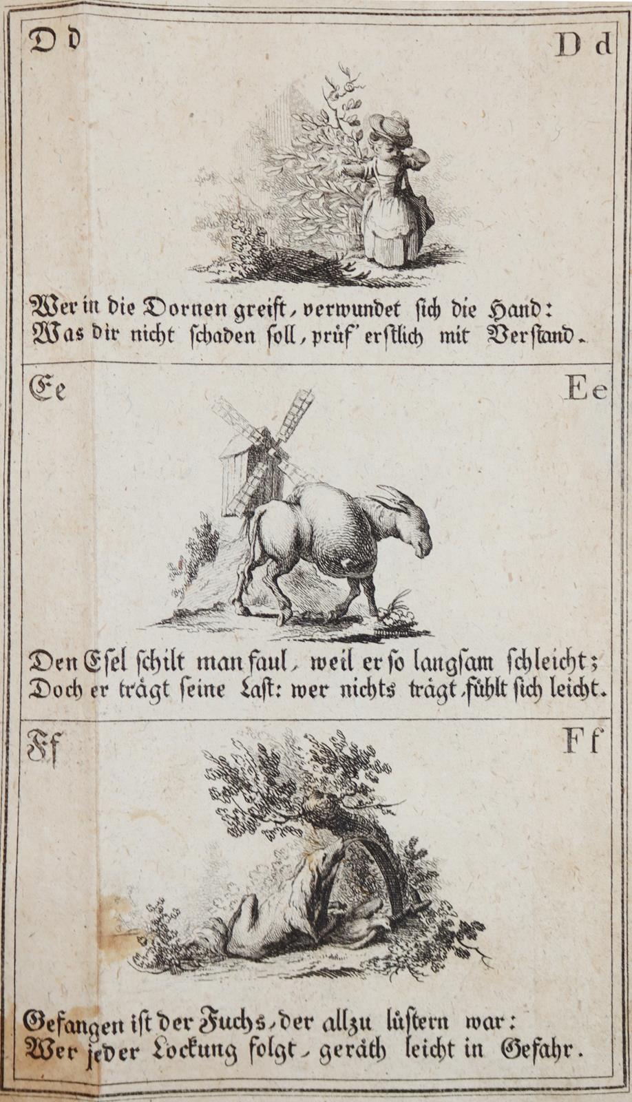 Basedow,J.B. | Bild Nr.3