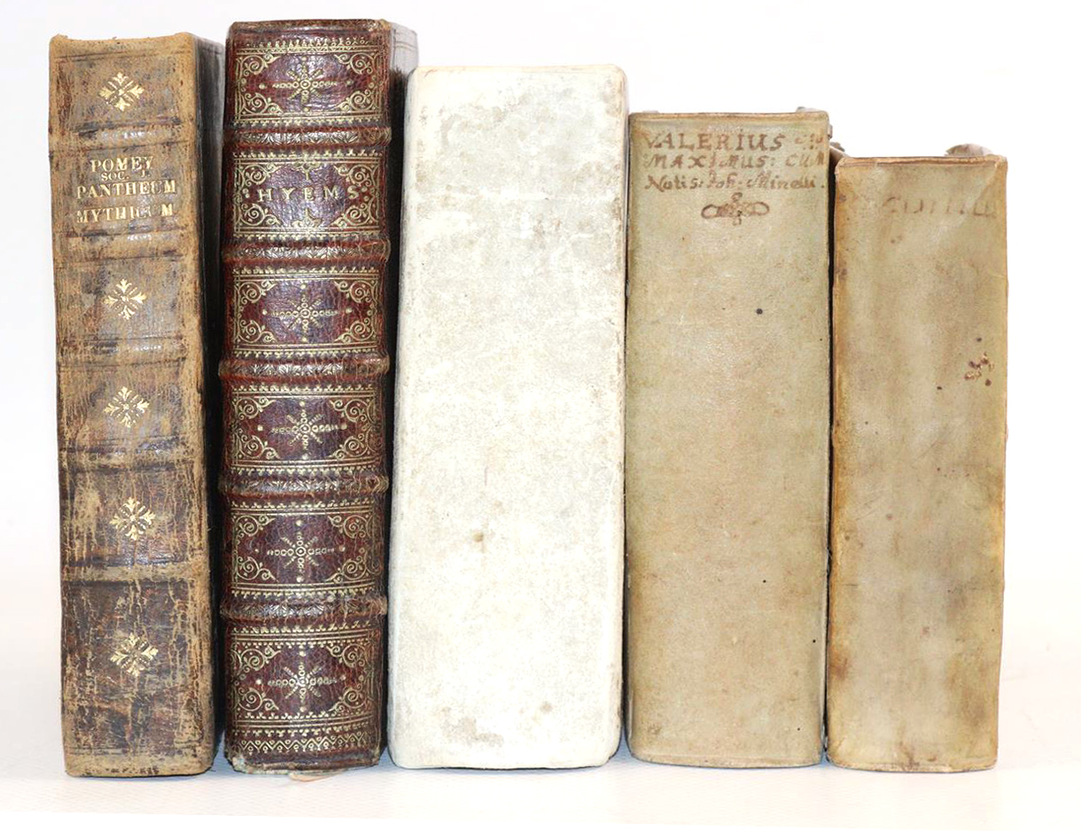 Sammlung | Bild Nr.5