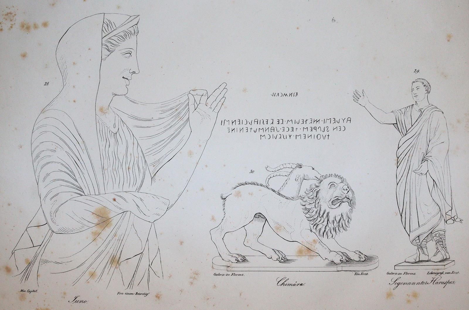 Winckelmann,J. | Bild Nr.3