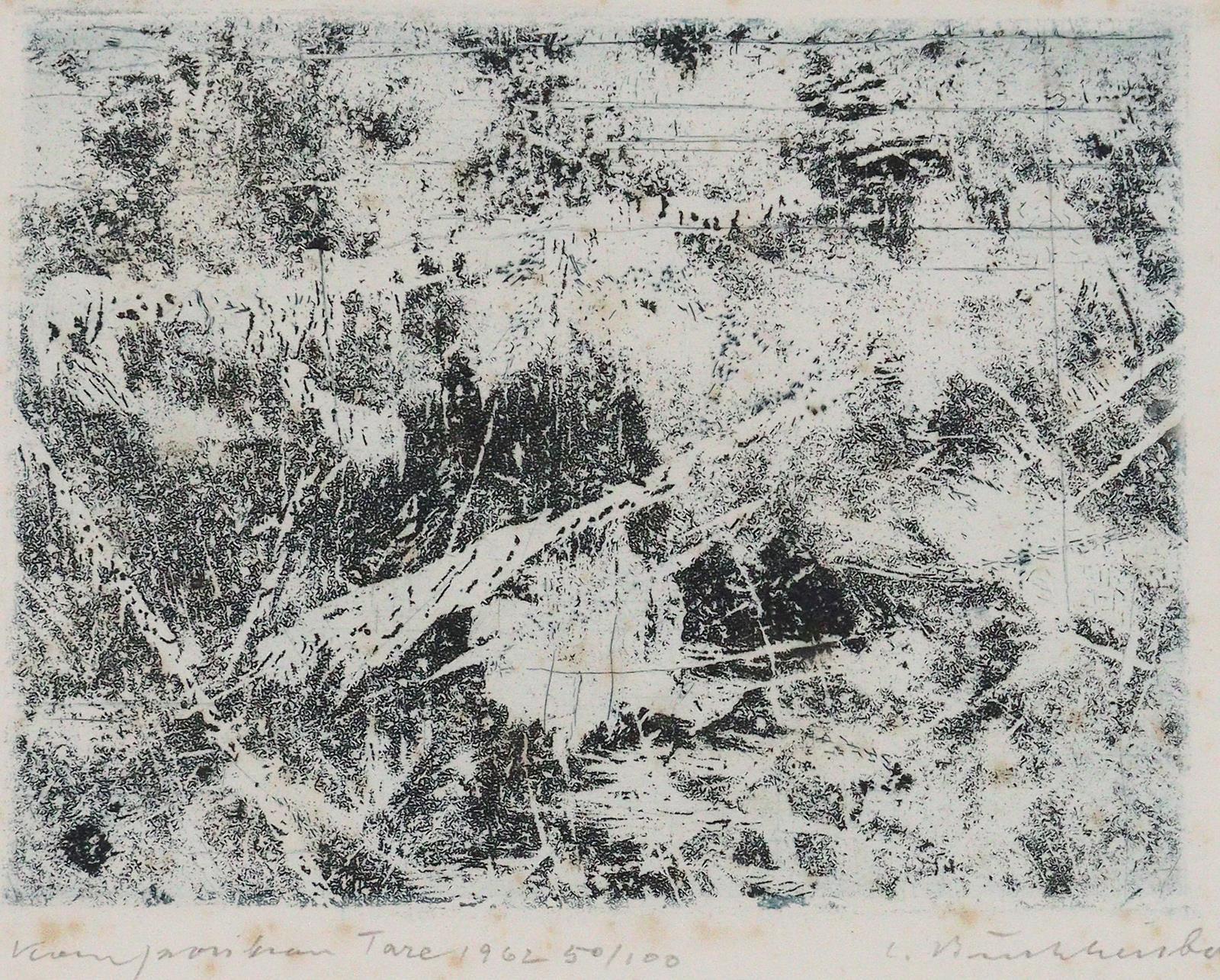 Buchheister,C. | Bild Nr.1