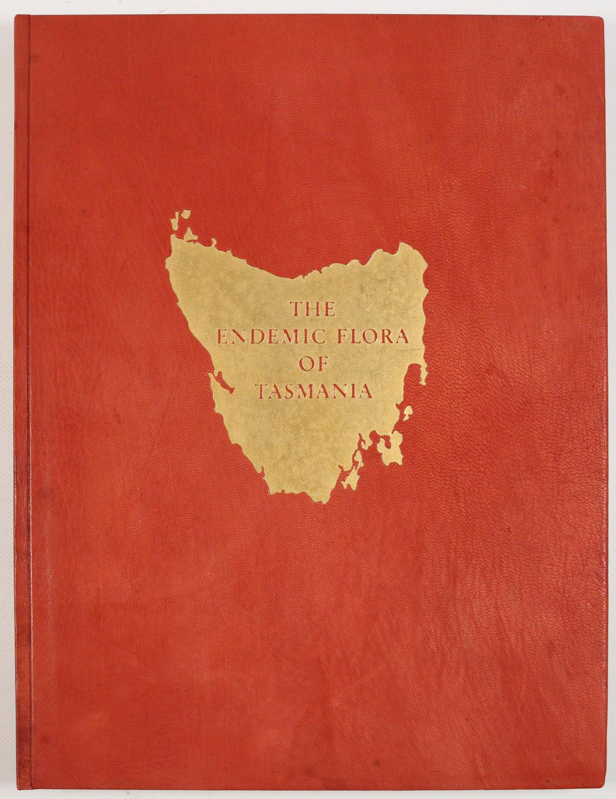 Buchheister,C. | Bild Nr.6