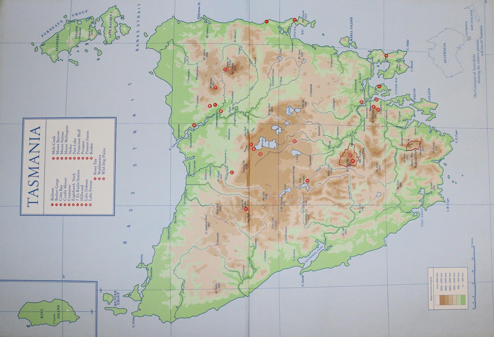 Buchheister,C. | Bild Nr.7