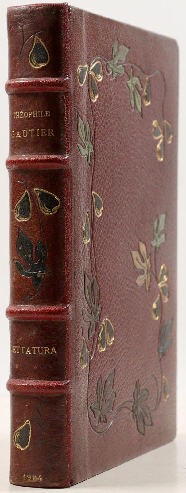 Rotbrauner Maroquineinband | Bild Nr.1