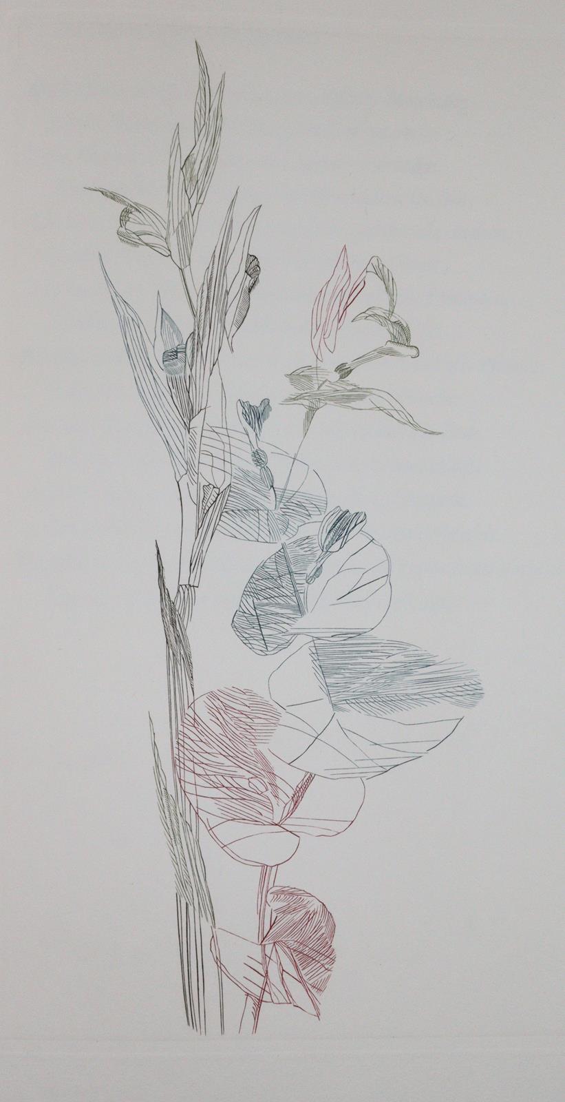 Goethe,J.W.v. | Bild Nr.1