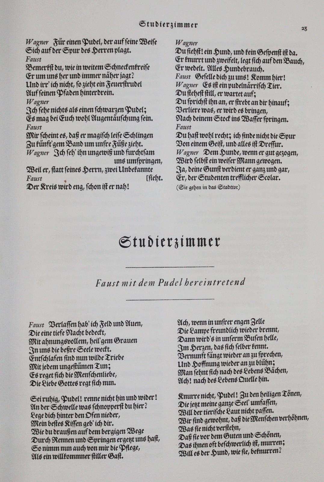 Goethe,J.W.v. | Bild Nr.6
