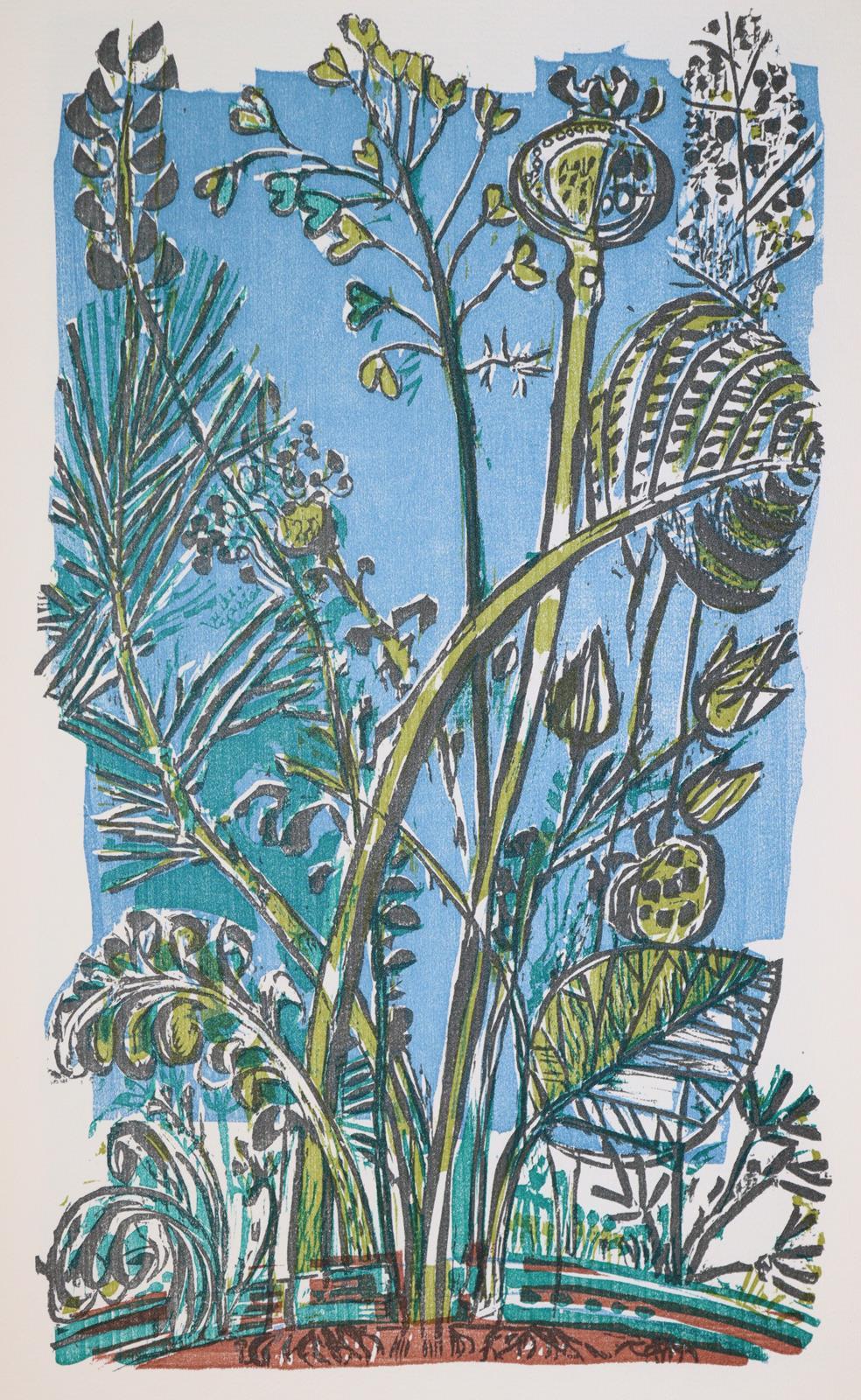 Hoffmann,F. | Bild Nr.3