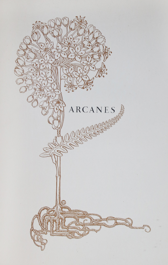 Mendes,C. | Bild Nr.1