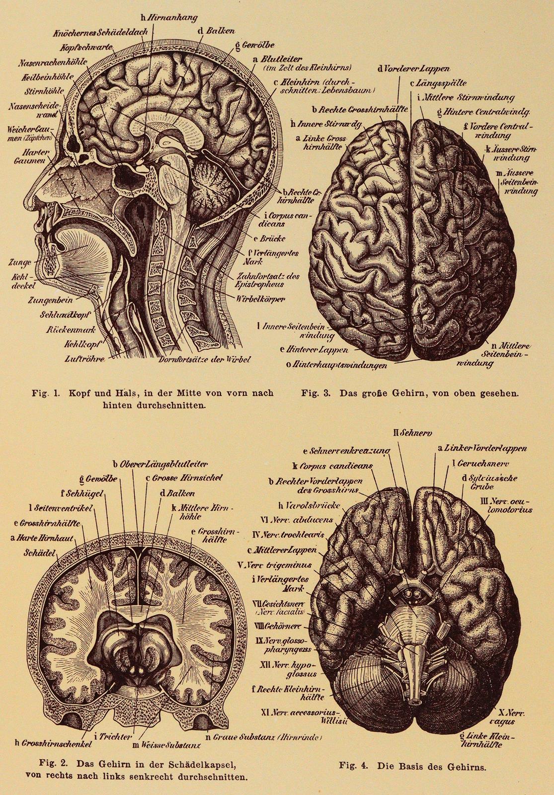 Mariannenpresse. | Bild Nr.5
