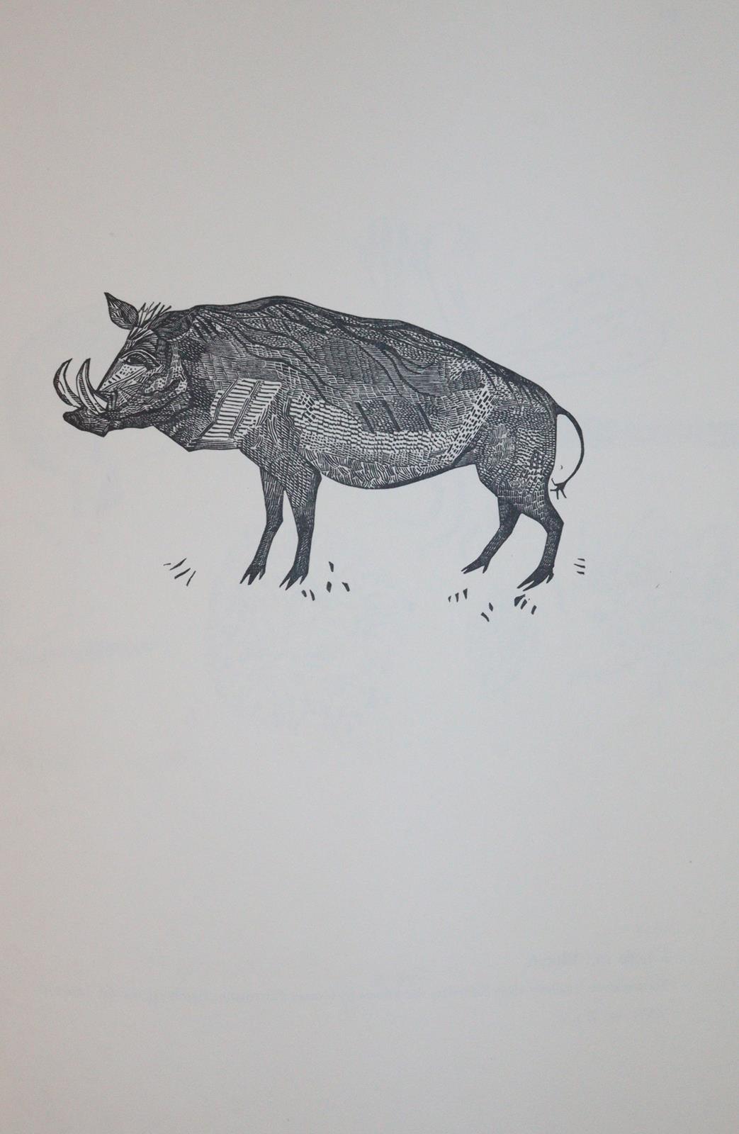 Mechtel,A. | Bild Nr.5