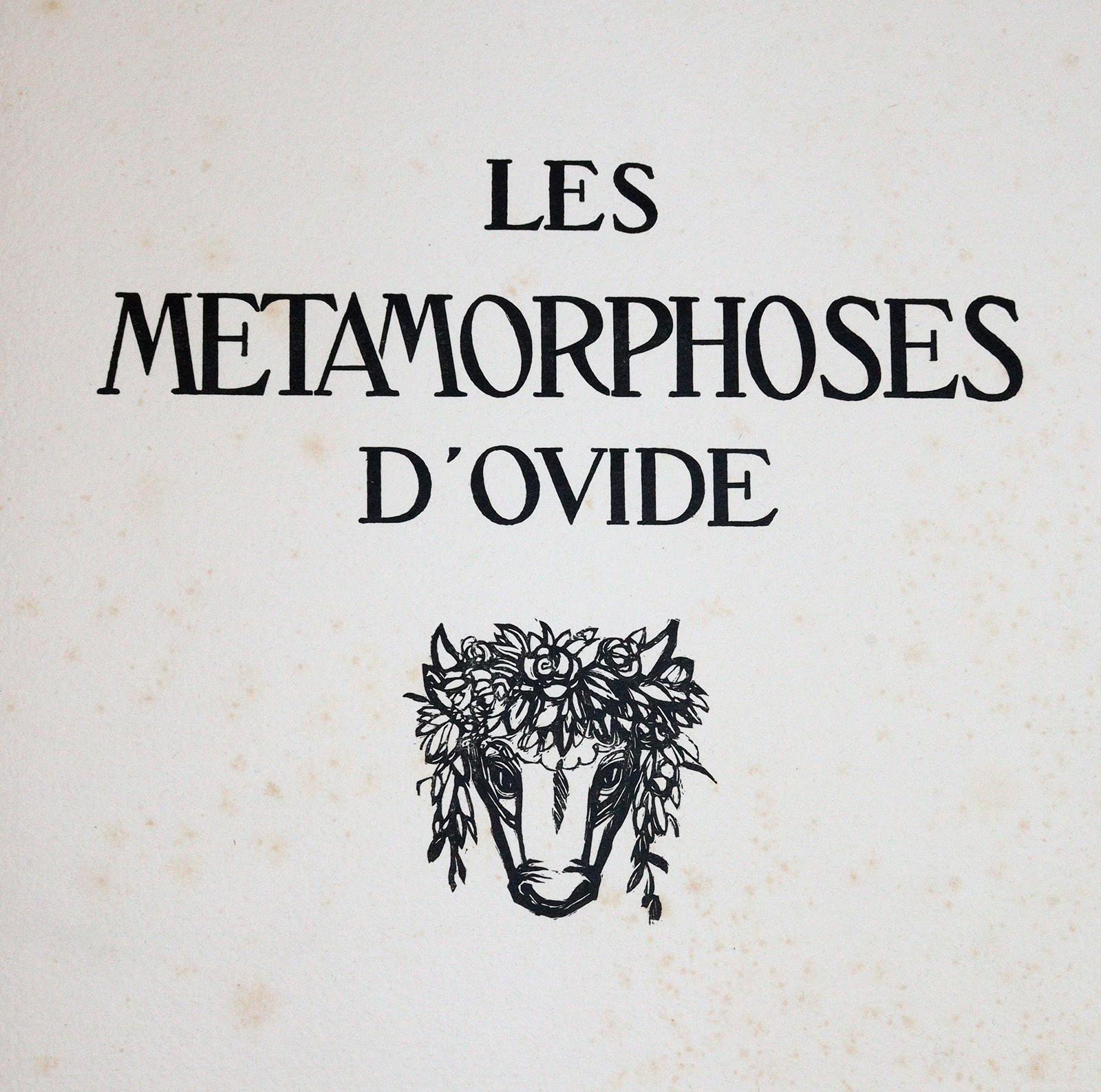 Ovidius,N.P. | Bild Nr.1