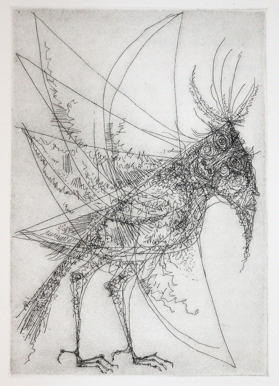 Hauff,W. | Bild Nr.4