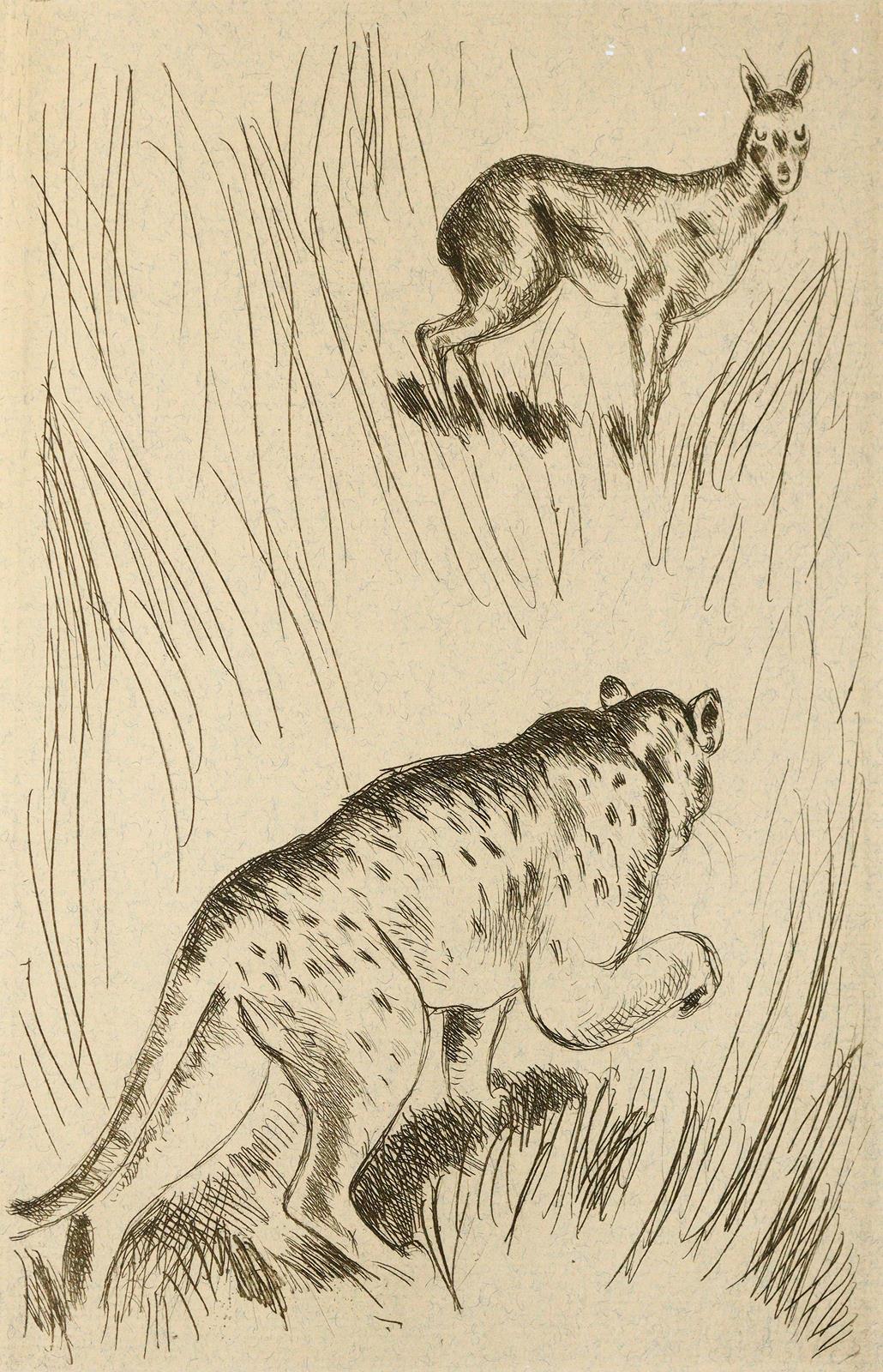 Sammlung | Bild Nr.1