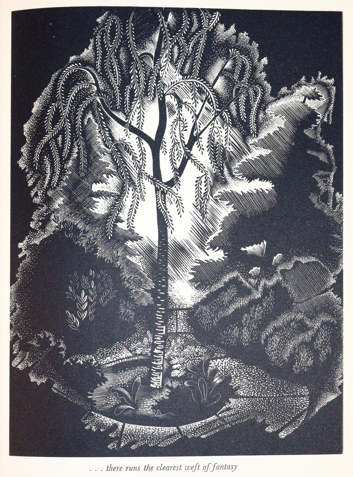 Scougall,S. u. F.Holford. | Bild Nr.3