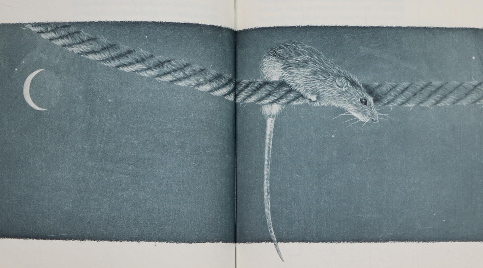 Conrad,J. | Bild Nr.6