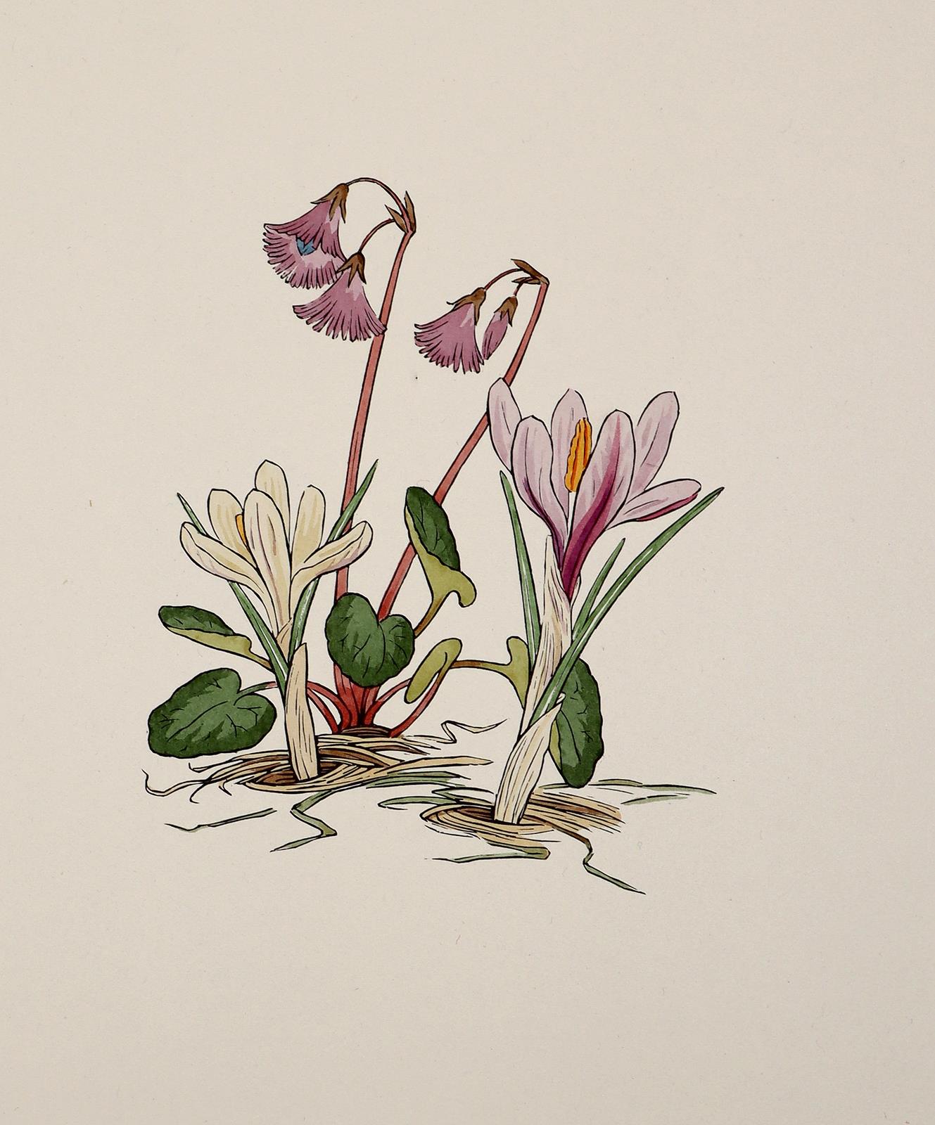 (Weisz,J. | Bild Nr.2