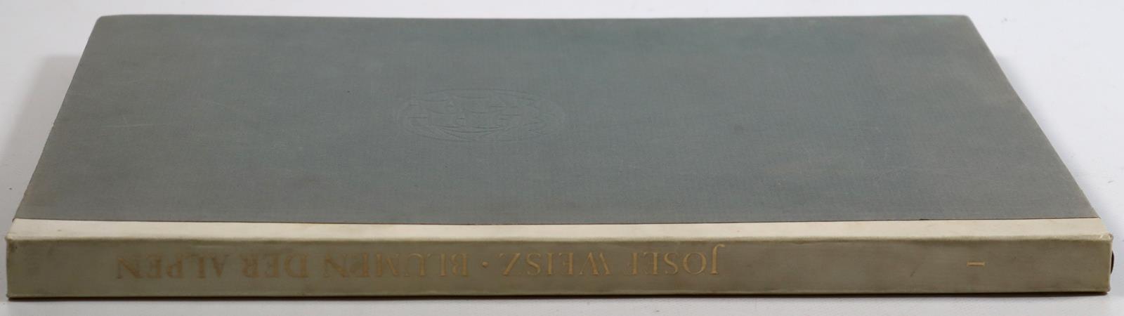 (Weisz,J. | Bild Nr.3