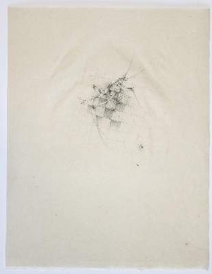 Zürn,U. | Bild Nr.9