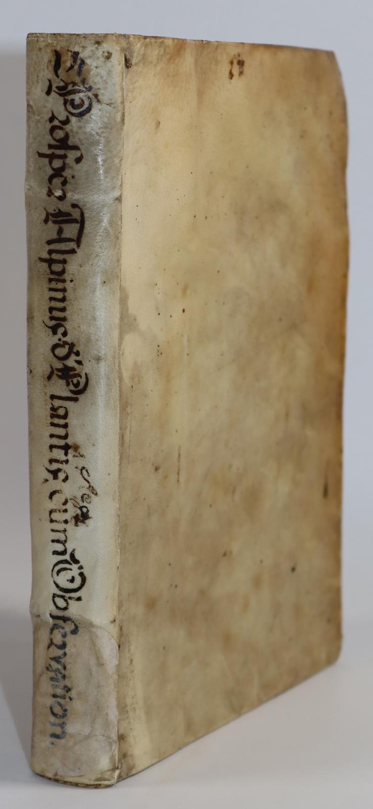 Alpini,P. | Bild Nr.5