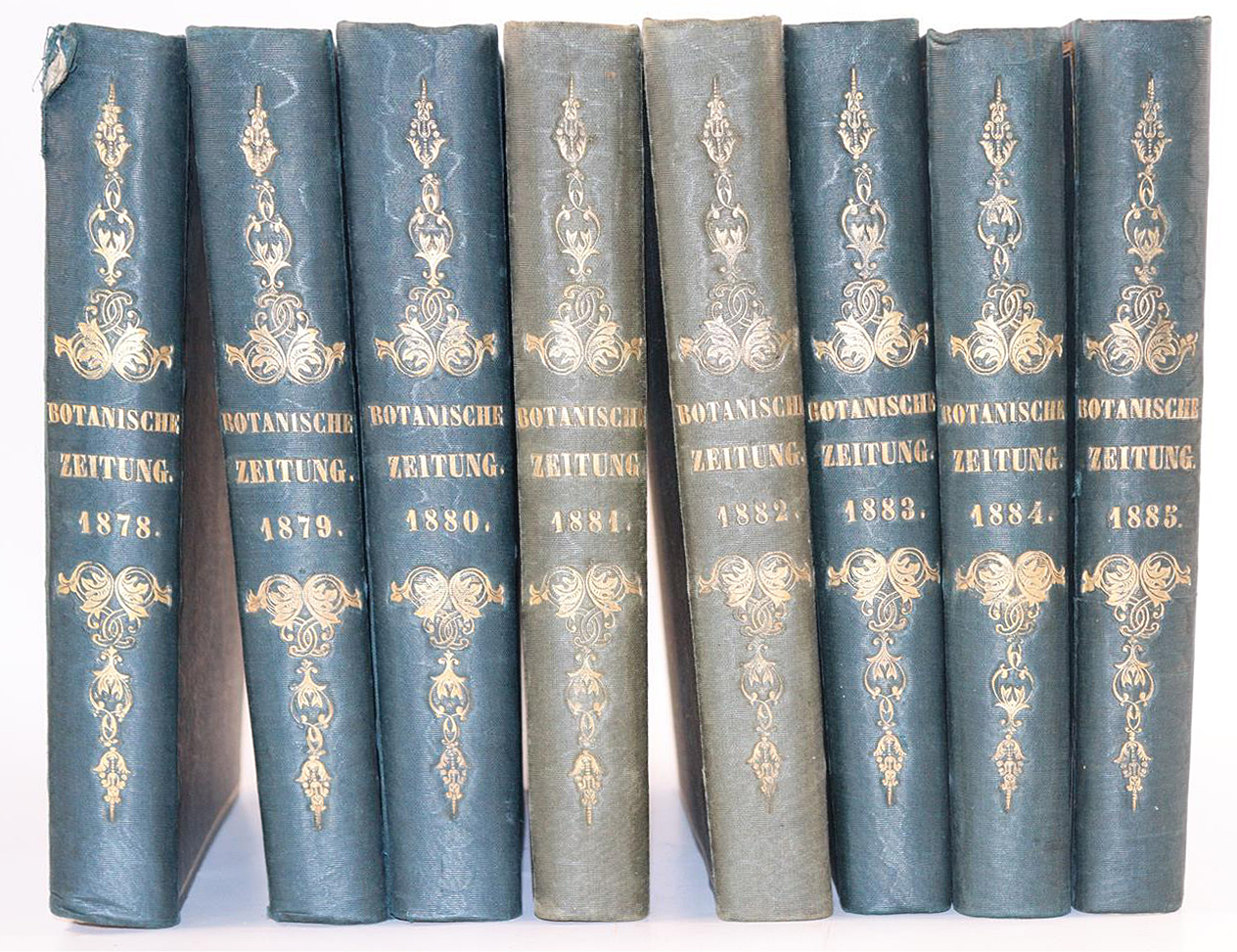 Botanische Zeitung. | Bild Nr.5