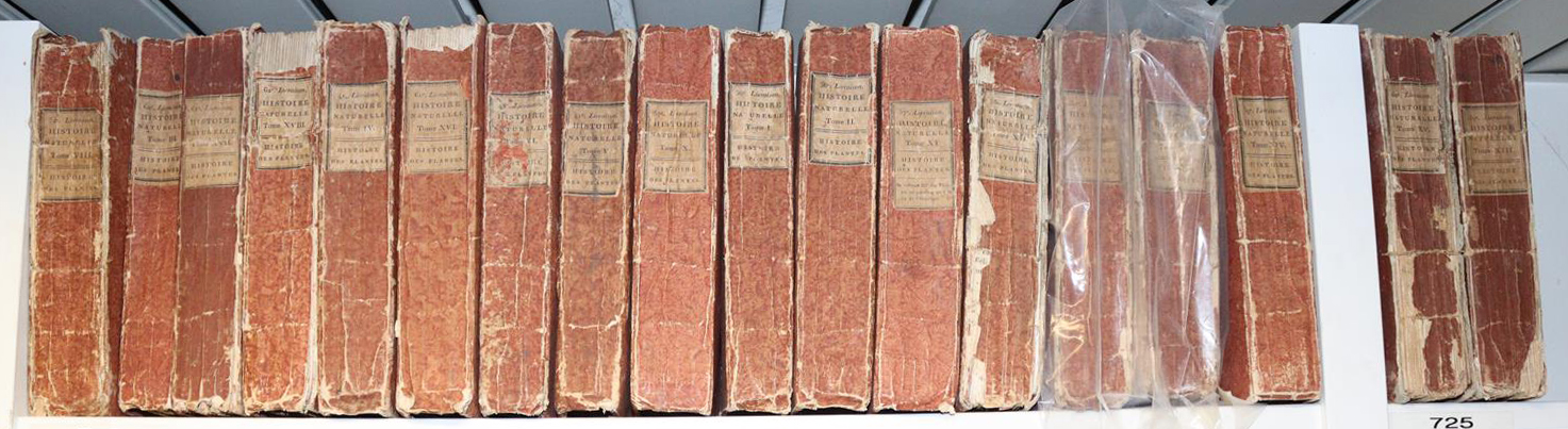 Briseau de Mirbel,C.F. | Bild Nr.3