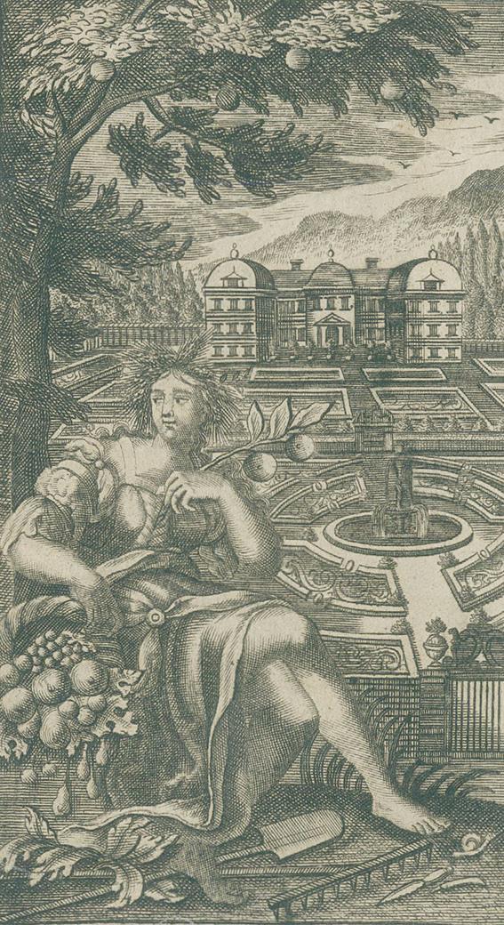 Liegelsteiner,G. | Bild Nr.1