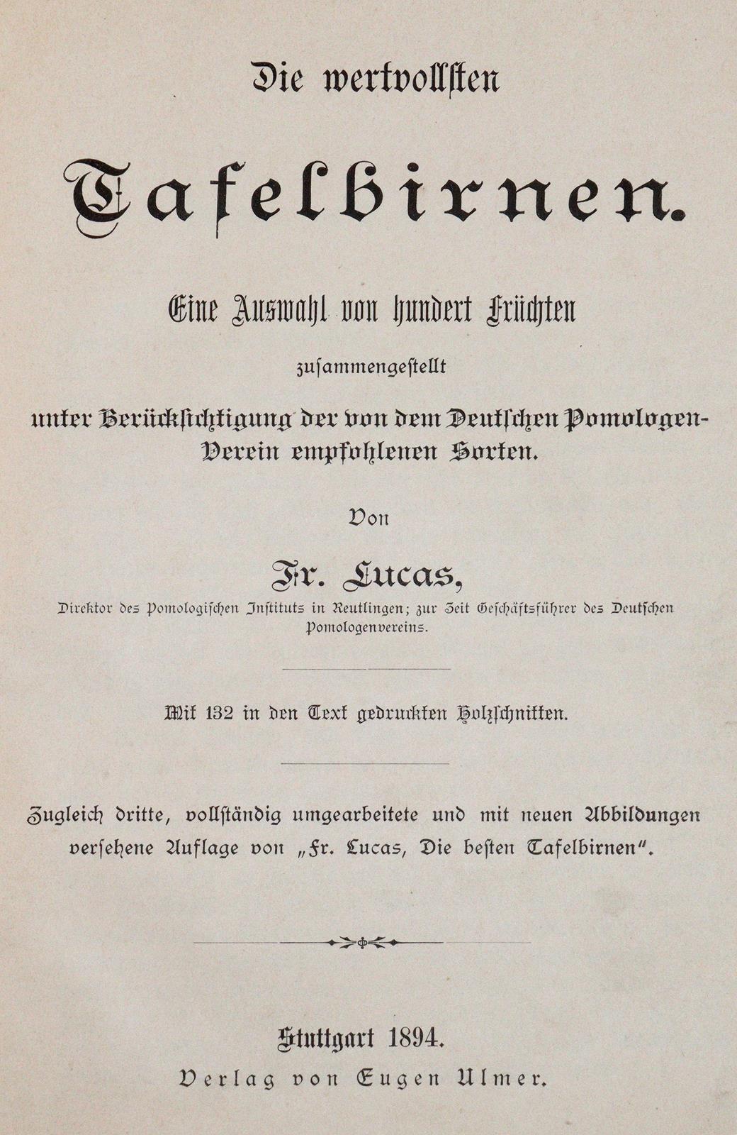 Lucas,F. | Bild Nr.1