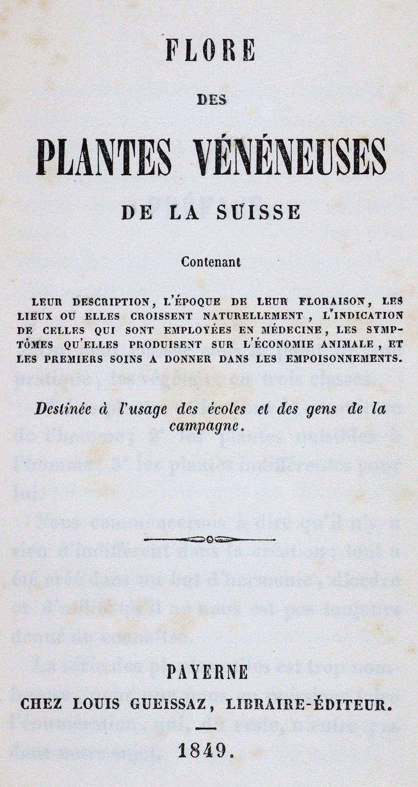 (Hegetschweiler,J.). | Bild Nr.1