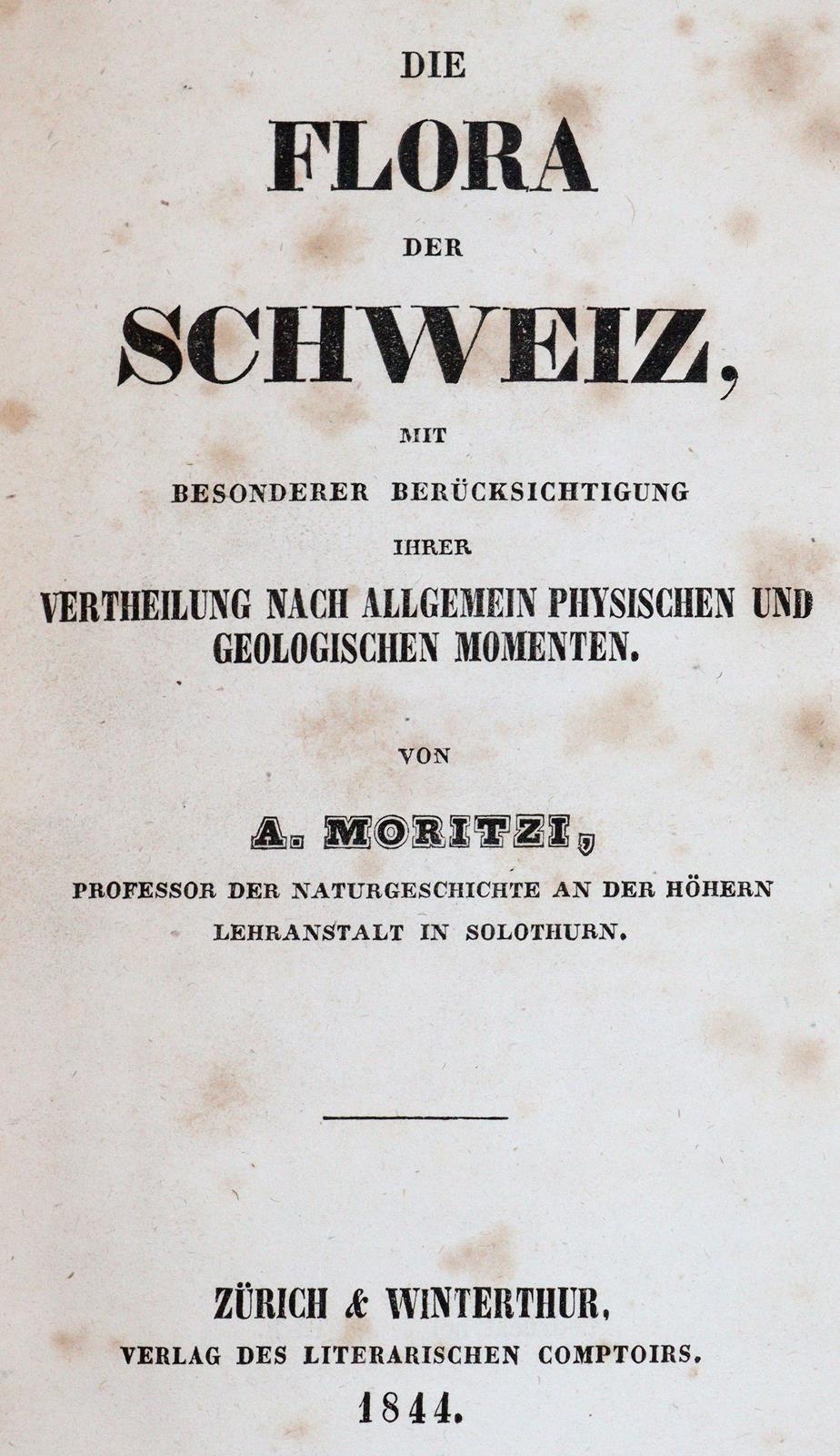 Moritzi,A. | Bild Nr.1