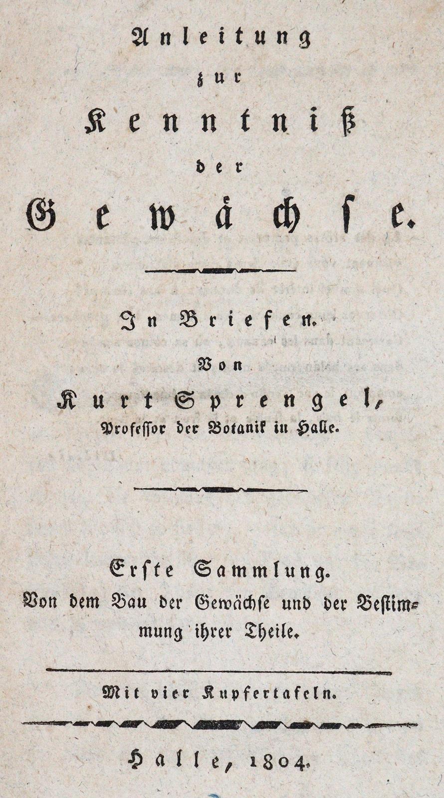 Sprengel,K. | Bild Nr.1