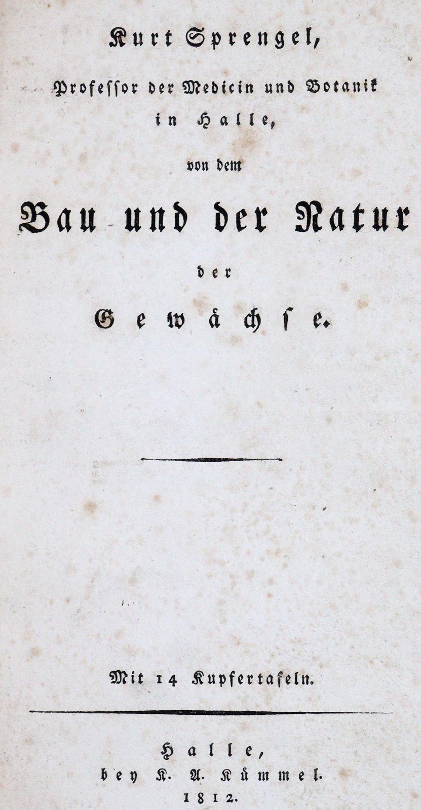 Sprengel,K. | Bild Nr.1