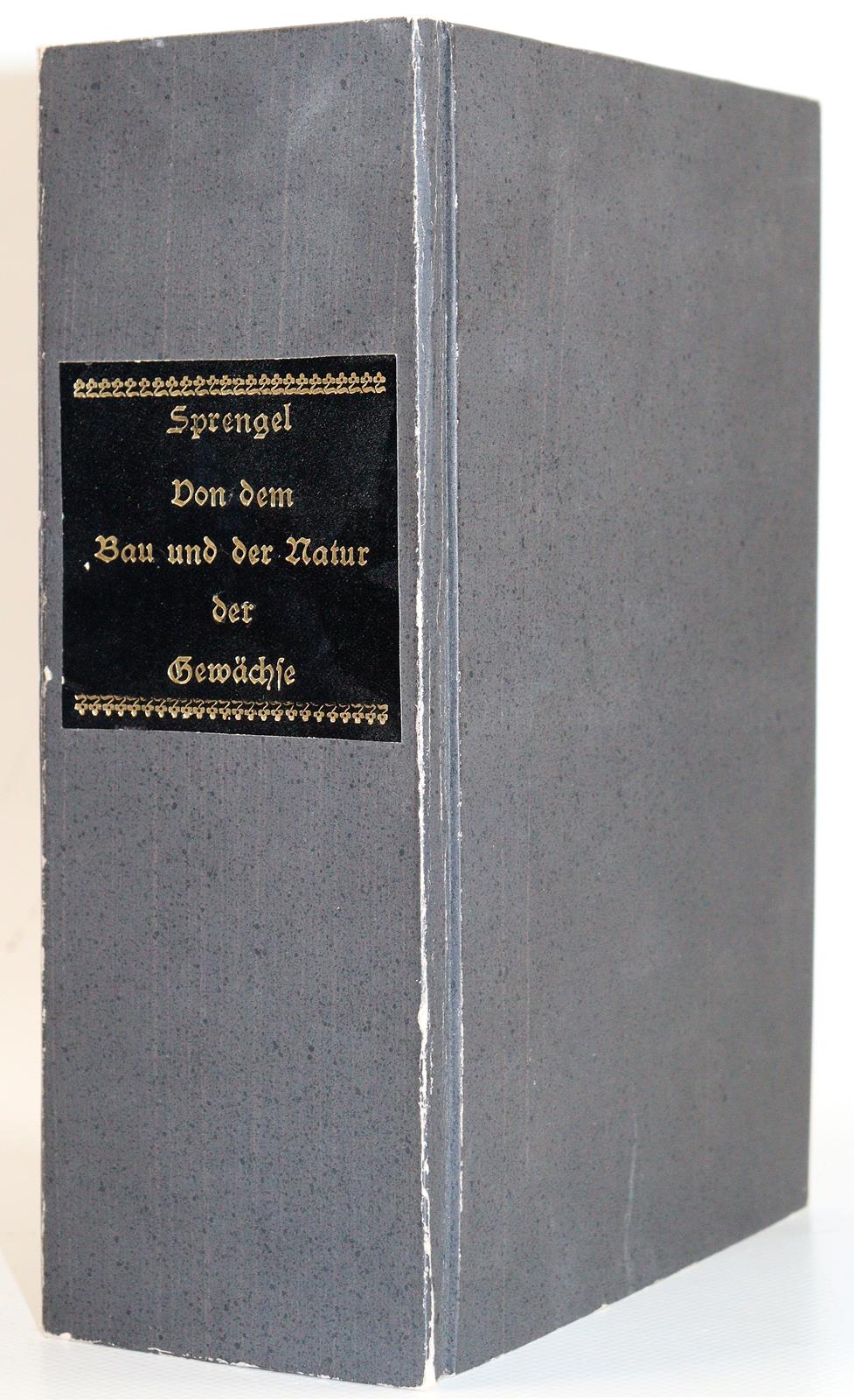 Sprengel,K. | Bild Nr.3