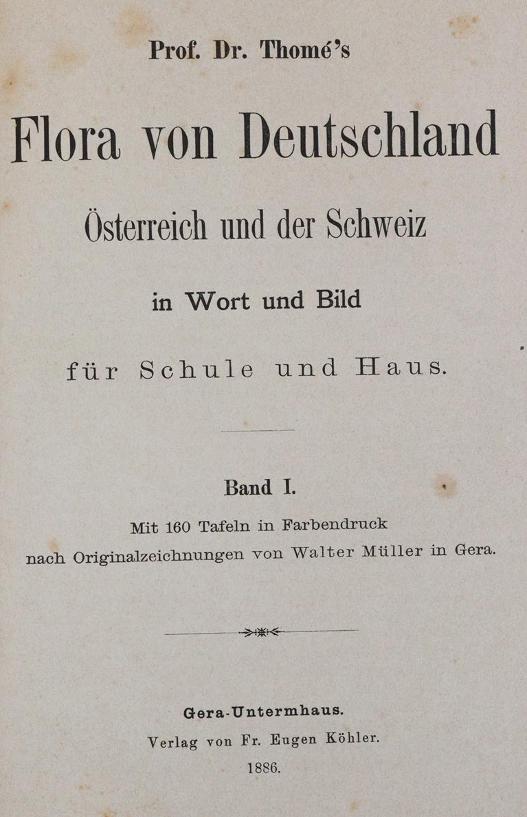 Thome,(O.W.) | Bild Nr.1