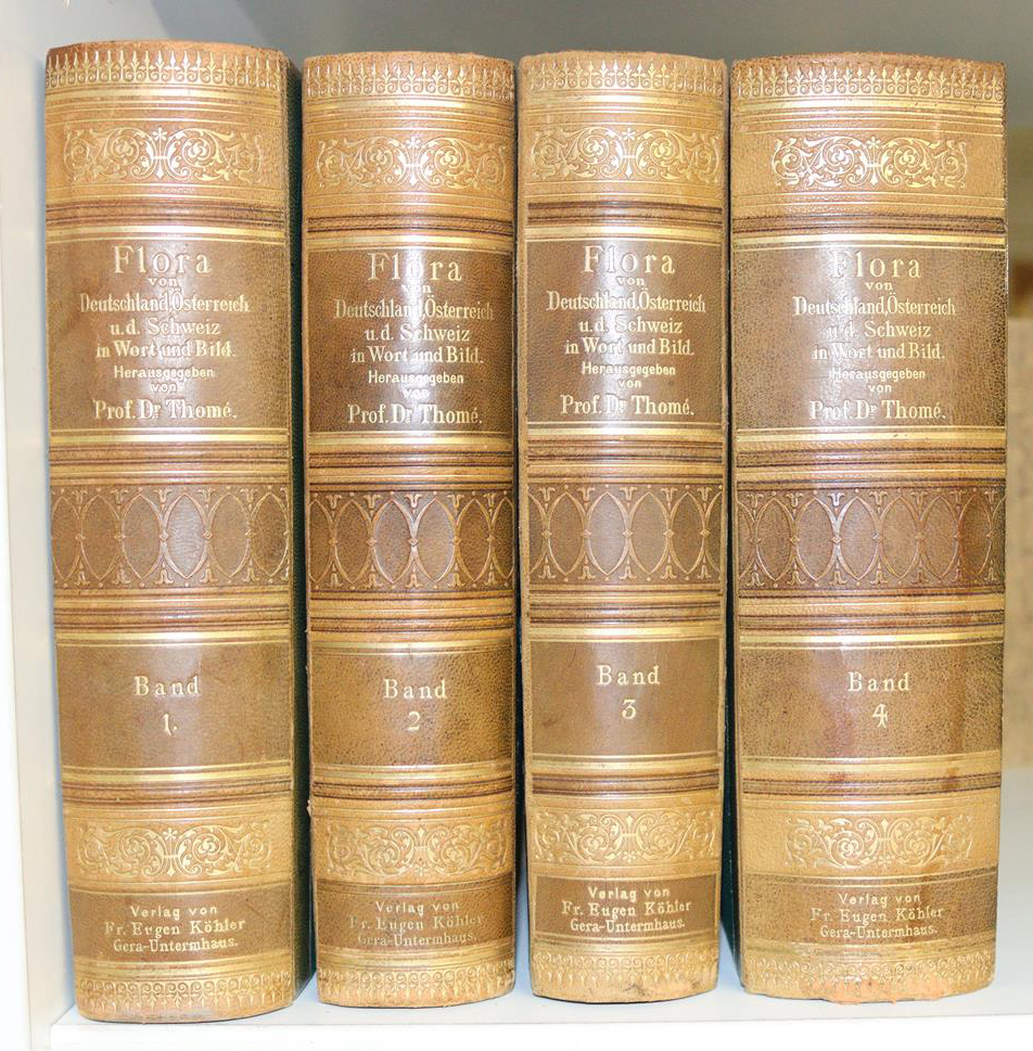 Thome,(O.W.) | Bild Nr.6