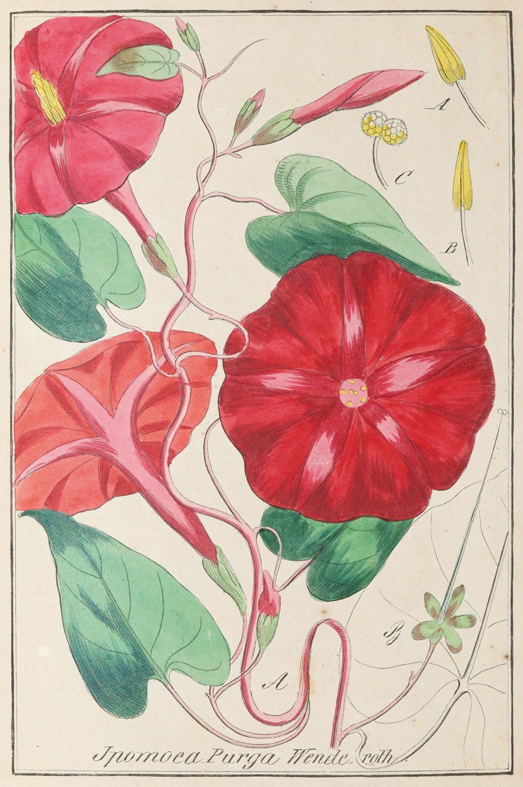 Winkler,E. | Bild Nr.2