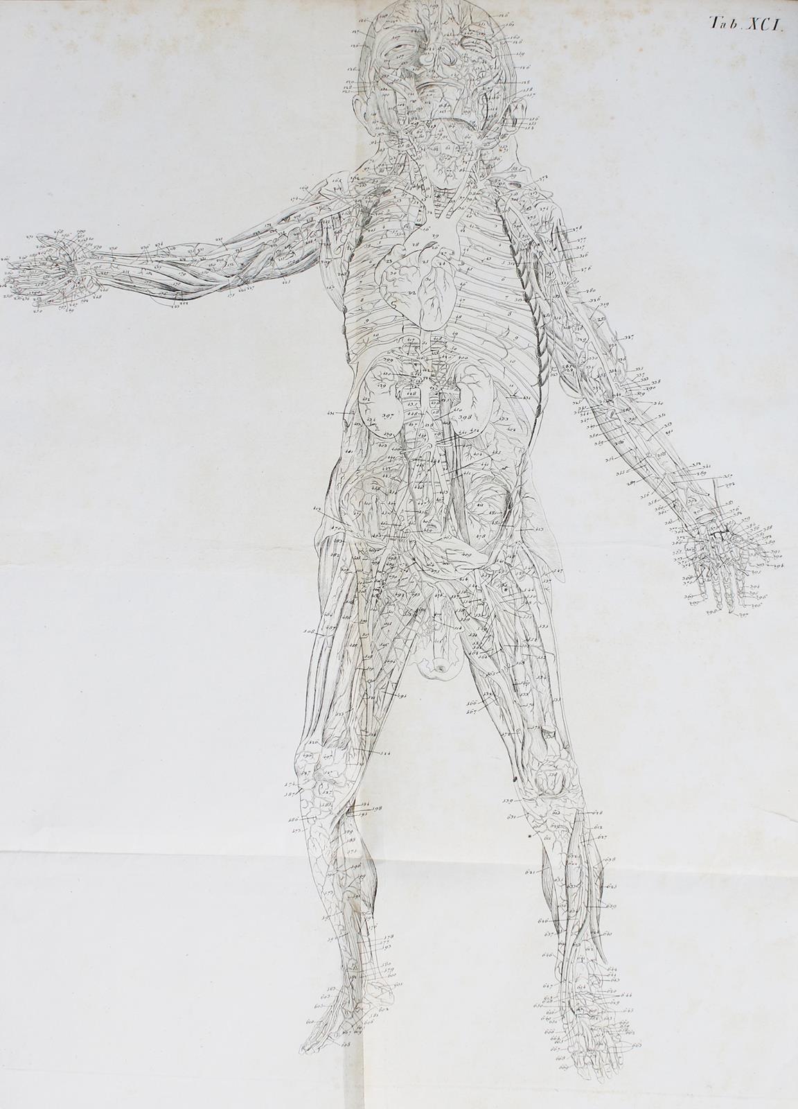 Loder,J.C. | Bild Nr.3