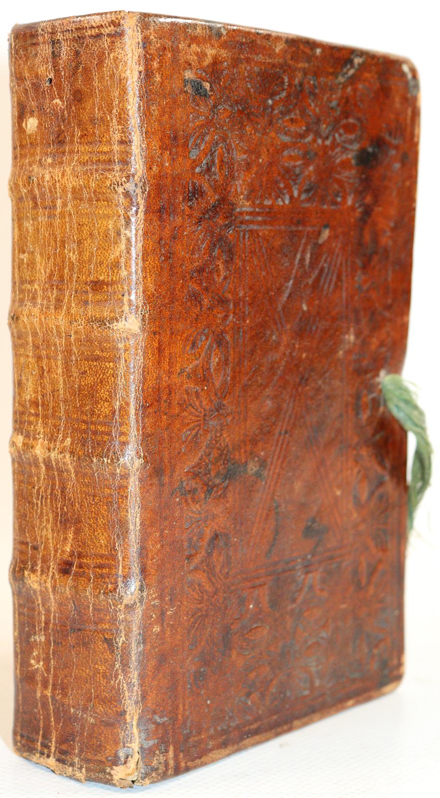 Börner,N. | Bild Nr.2