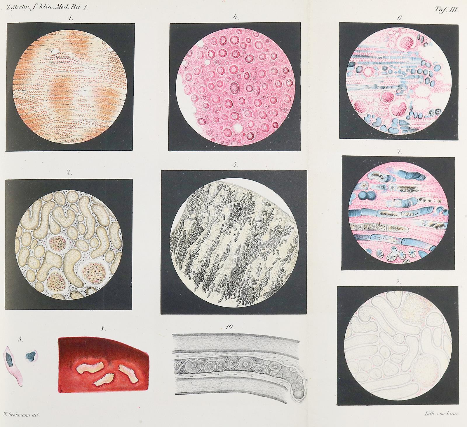 Ehrlich,P. | Bild Nr.1